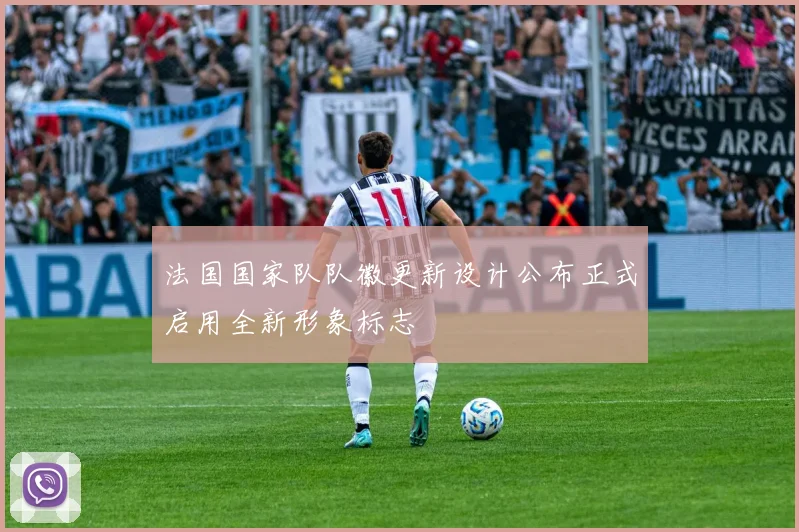 法国国家队队徽更新设计公布正式启用全新形象标志