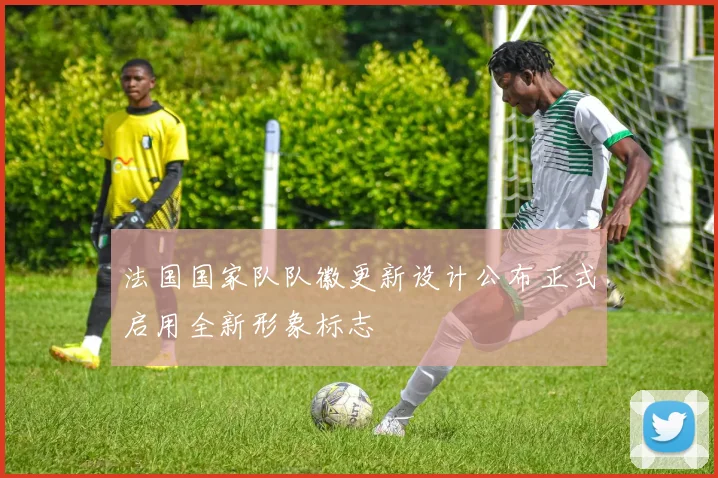 法国国家队队徽更新设计公布正式启用全新形象标志