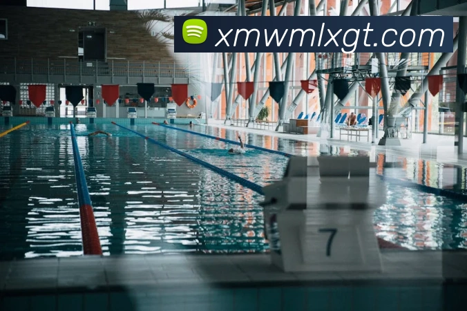 k体育官方下载发展历程